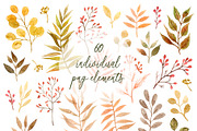 Autumn leaves watercolor collection, a Seasonal Illustration by alenaganzhela (Thumbnail 4 of 11)