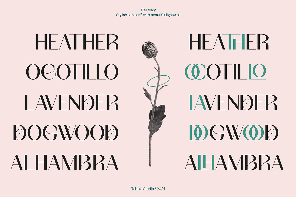 TBJ Milky – 8 Styles Boldly Sans, a Sans Serif Font by Taboja Studio (Photo 10 of 18)