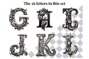 Gothic Silver Rose Alphabet Letters, a Decorative Illustration by Creative Art By SamM (Thumbnail 8 of 10)