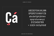 Bebas Neue Pro - SmE ExtraBold, a Sans Serif Font by Dharma Type (Thumbnail 6 of 13)