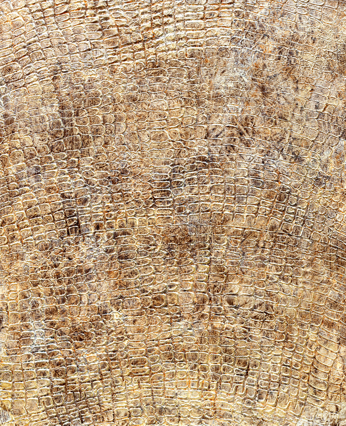 Decorative stucco texture, a Texture Graphic by ArtyomMirniy