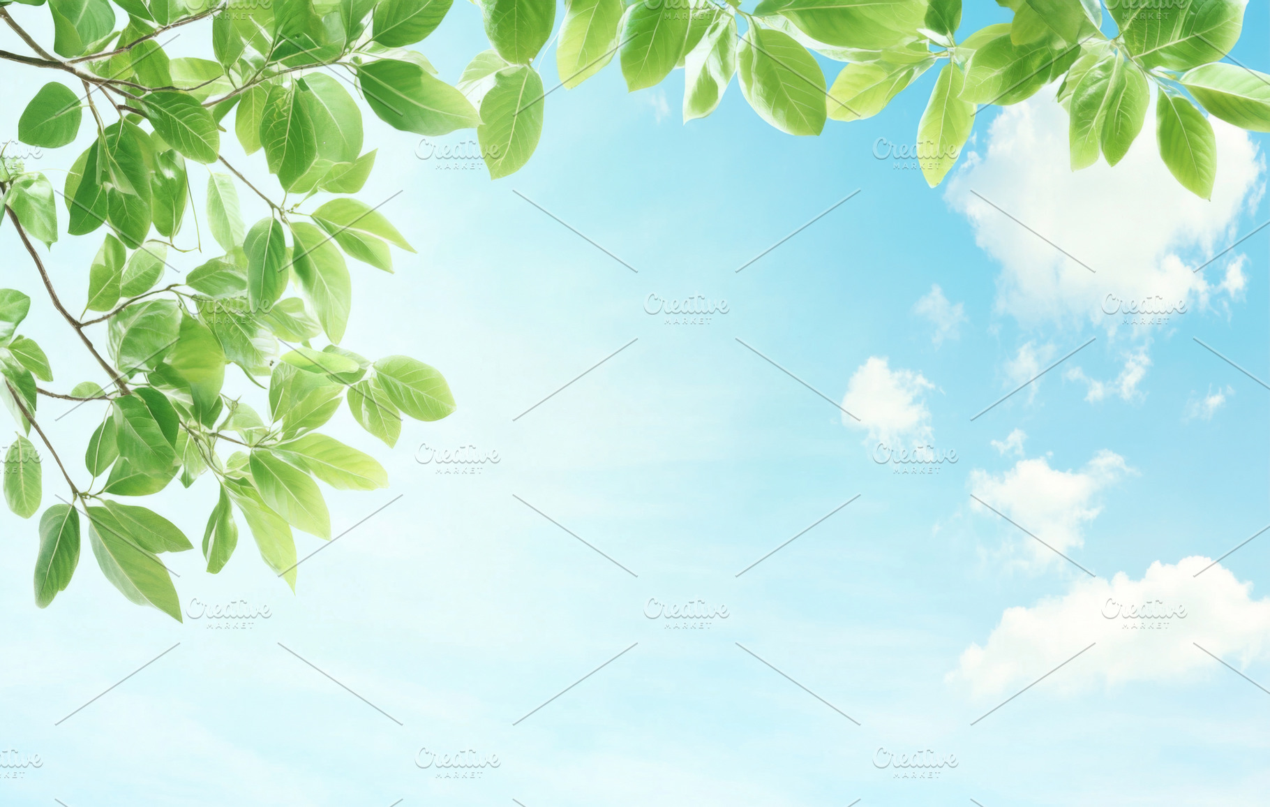 Blue sky and white clouds with green, a Photo by Dvoevnore photos