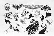 Dark side of the LUNA 20% OFF!!!, an Animal Illustration by Anastasy_helter (Thumbnail 5 of 23)