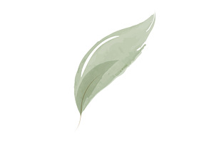 Soft green watercolor leaf painted, an Object Illustration by okskukuruza