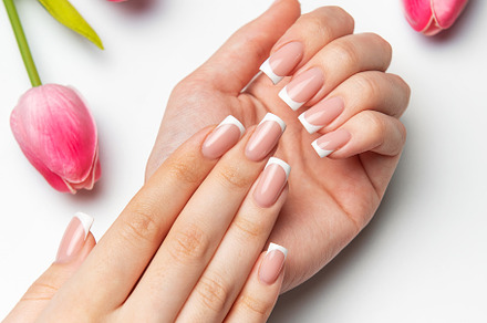 Woman showing french manicure near pink tulips on white backgrou