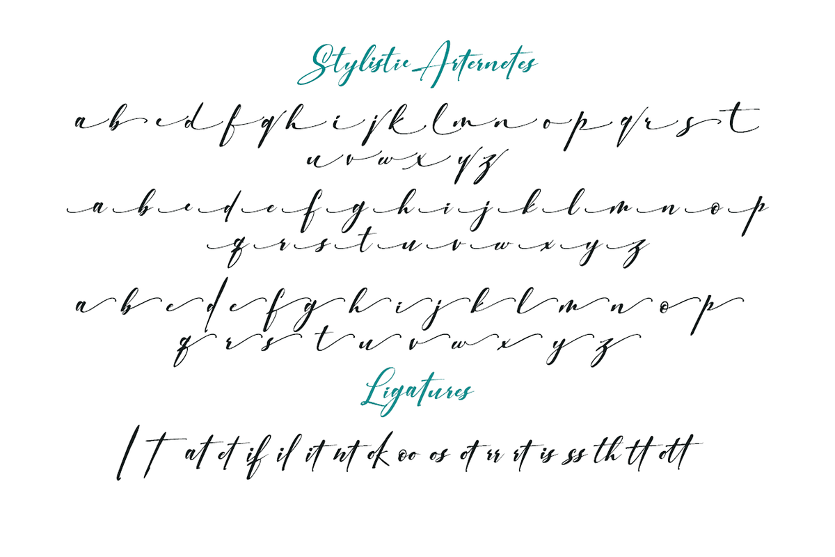 Charlotte Script, a Script Font by PollemSt (Photo 8 of 8)