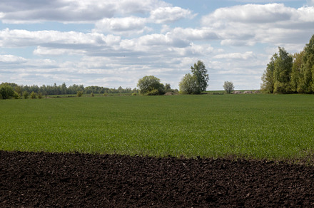 View of a green field and plowed, a Nature Photo by Schreibikus
