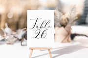 Alysar | Delicate Calligraphy Font, a Script Font by KA Designs (Thumbnail 8 of 24)