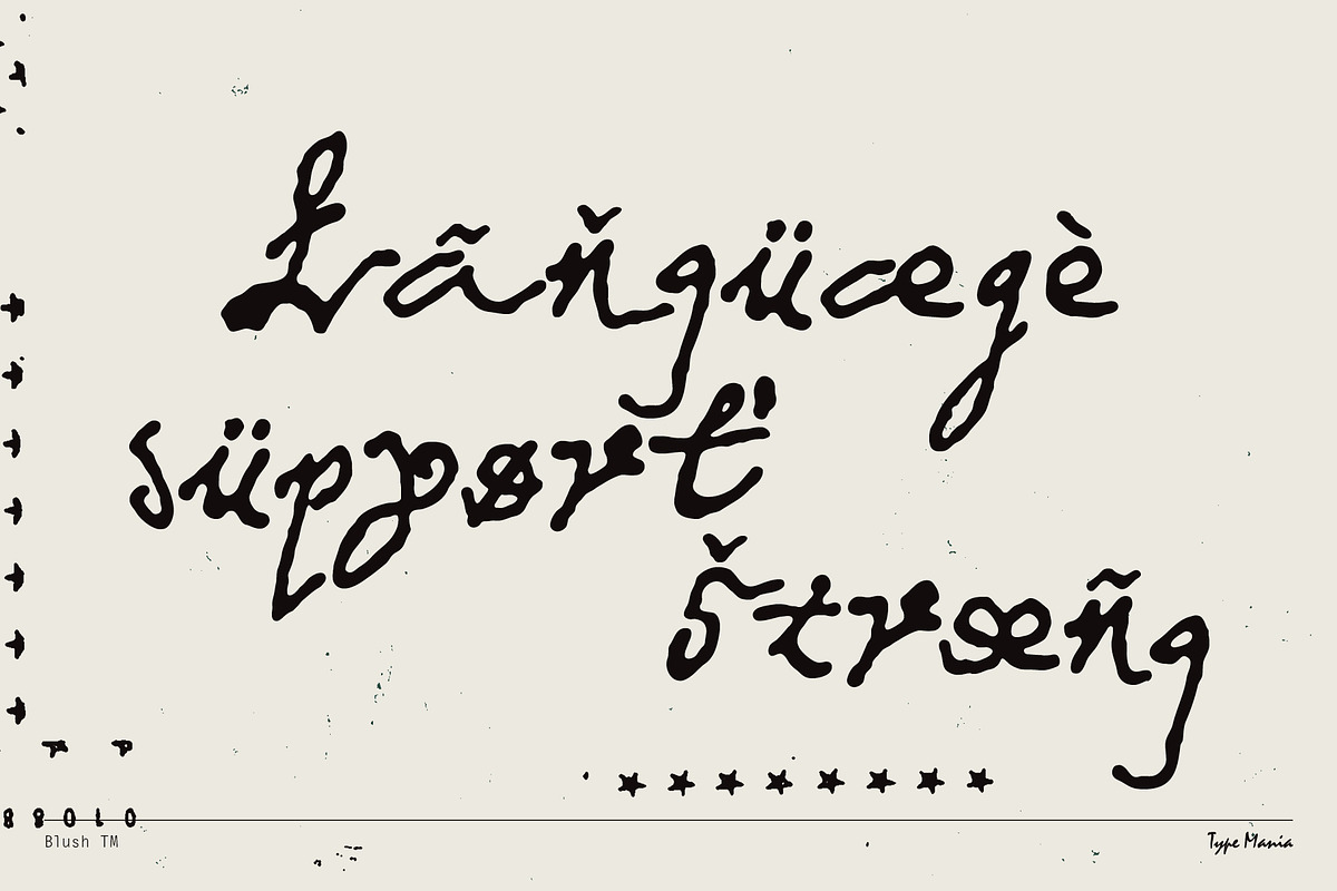 Blush TM – Messy Dynamic Script, a Handwritten Font by Type Mania (Photo 11 of 12)