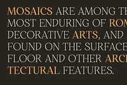 Restora Neue - 18 Fonts, a Serif Font by Nasir Udin (Thumbnail 14 of 20)
