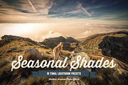 Seasonal Shades Lightroom Presets 1, a Preset Add-On by Design Panoply (Thumbnail 1 of 5)