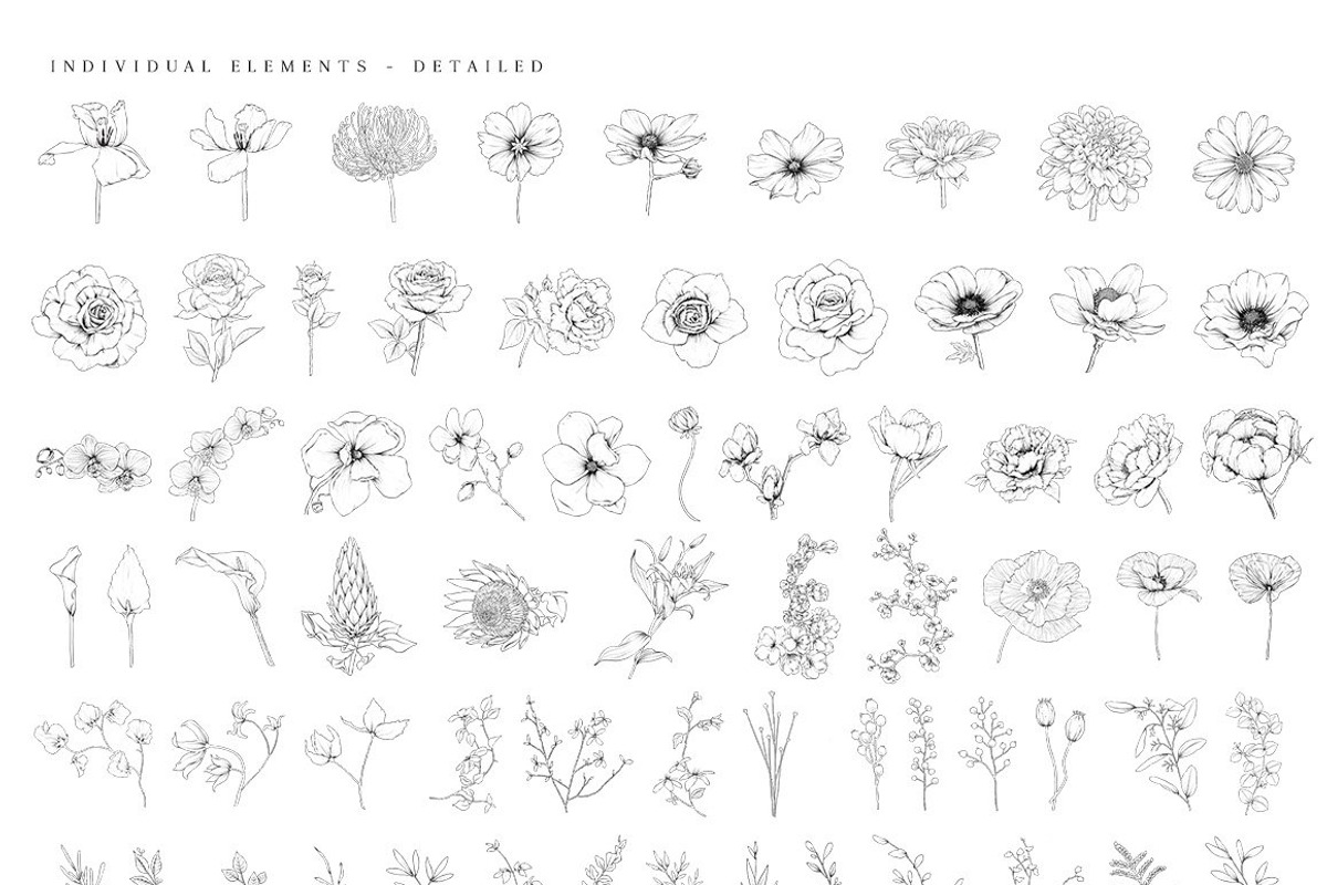 Ultimate Flower & Leaf Collection, an Object Graphic by Pretty Little Lines (Photo 32 of 47)