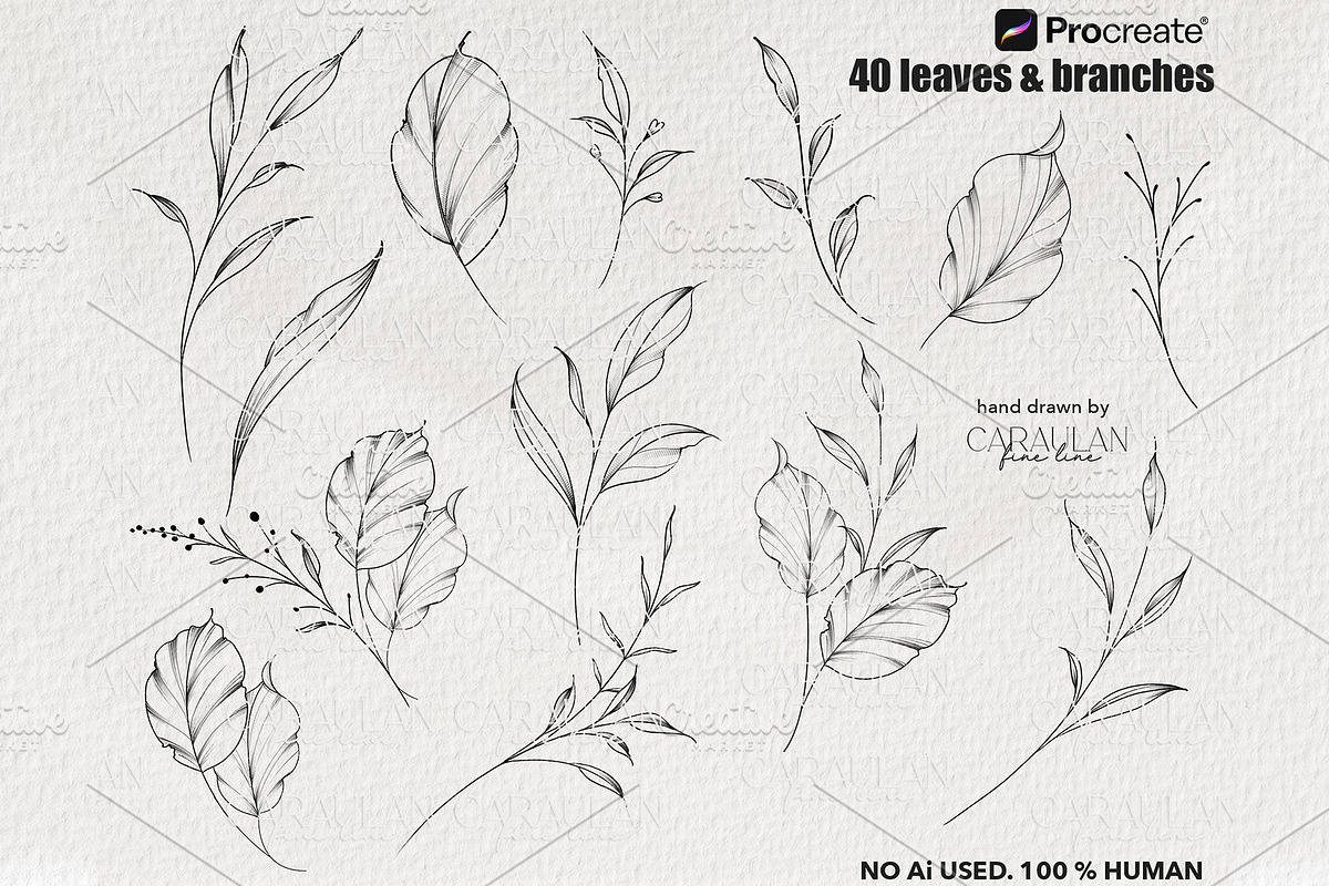 Leaves & Branches Fine Line Stamps, a Brush Add-On by CaraulanStore (Photo 5 of 7)