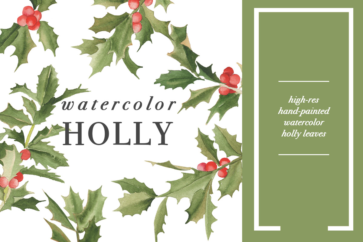 Watercolor Holly, an Illustration by Instinct Design Co (Photo 1 of 2)
