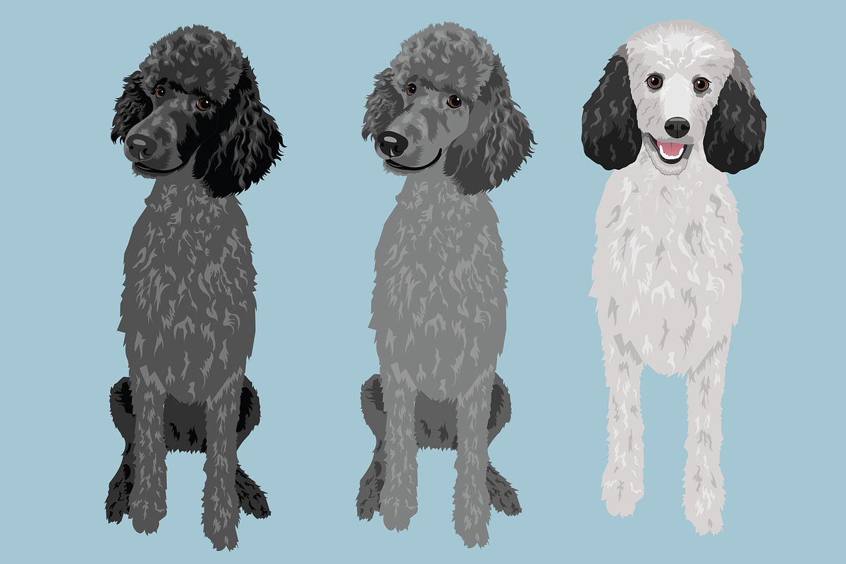 Poodle Clip Art Vector Bundle, an Illustration by Putnam Road Art (Photo 3 of 4)