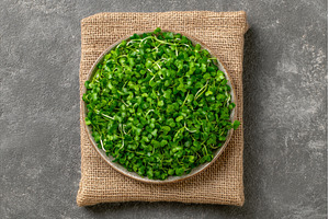 Microgreens are arranged on a white, a Food & Drink Photo by ZinetroN