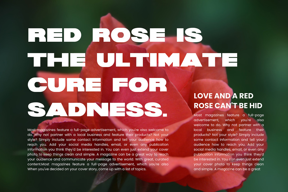 Evers Sans Serif Font, a Sans Serif Font by Graphicxell (Photo 4 of 7)