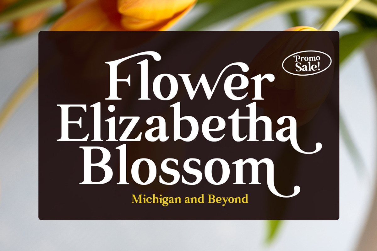 Rellita Display, a Serif Font by Gatype (Photo 2 of 11)