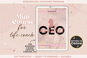 Mini Course Package for Female Coach, a Templates & Theme by bellaROSEworkshop (Thumbnail 6 of 10)