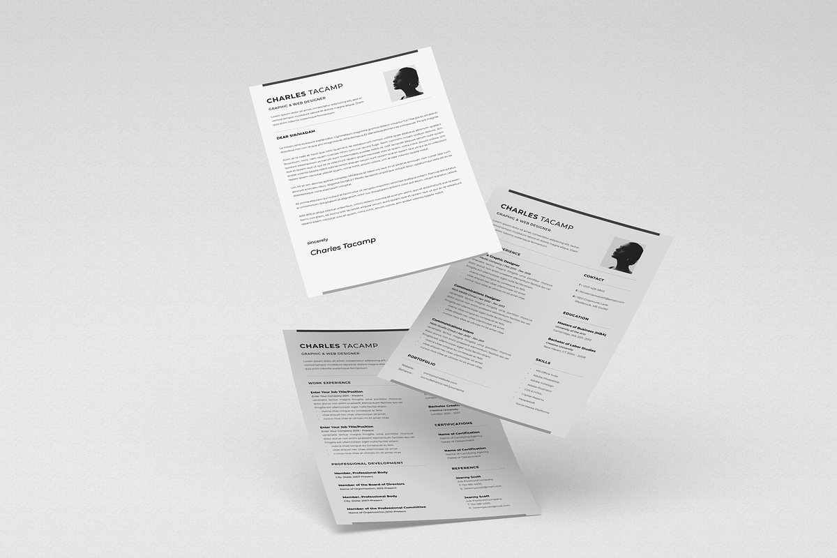 Professional CV Resume, a Resume Template by Faiz zakharia (Photo 6 of 7)