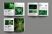 Botanic Portfolio Brochure Layout, a Magazine Template by Seeing-art (Thumbnail 11 of 11)
