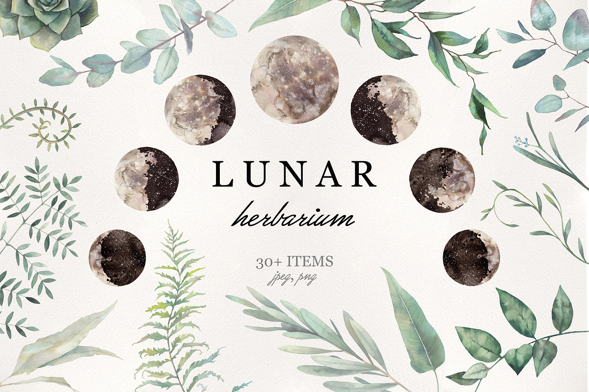 LUNAR Herbarium, an Illustration by Eisfrei (Photo 1 of 10)