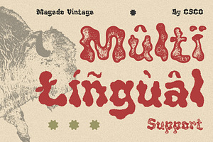 Magedo Vintage Fluid Font