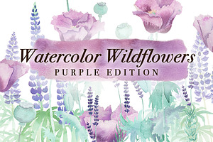 Watercolor Wildflowers In Purple