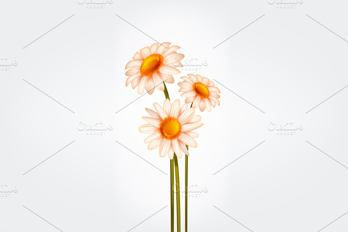 Realistic honey set, a Food Illustration by George Rod (Photo 6 of 6)