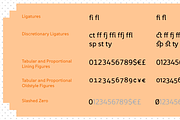 Fox Sans Pro, a Sans Serif Font by TipografiaRamis (Thumbnail 8 of 10)