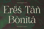 Amadi Vintage, a Serif Font by Craft Supply Co. (Thumbnail 3 of 8)