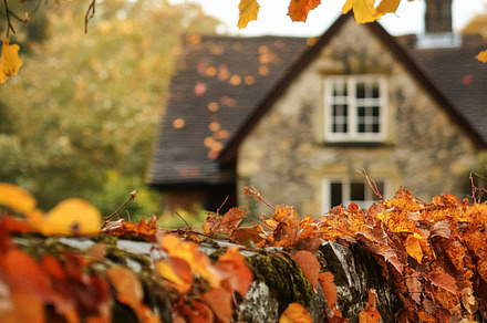 Autumn cottage in the English countryside style, old village arc, an Architecture Photo by Anneleven