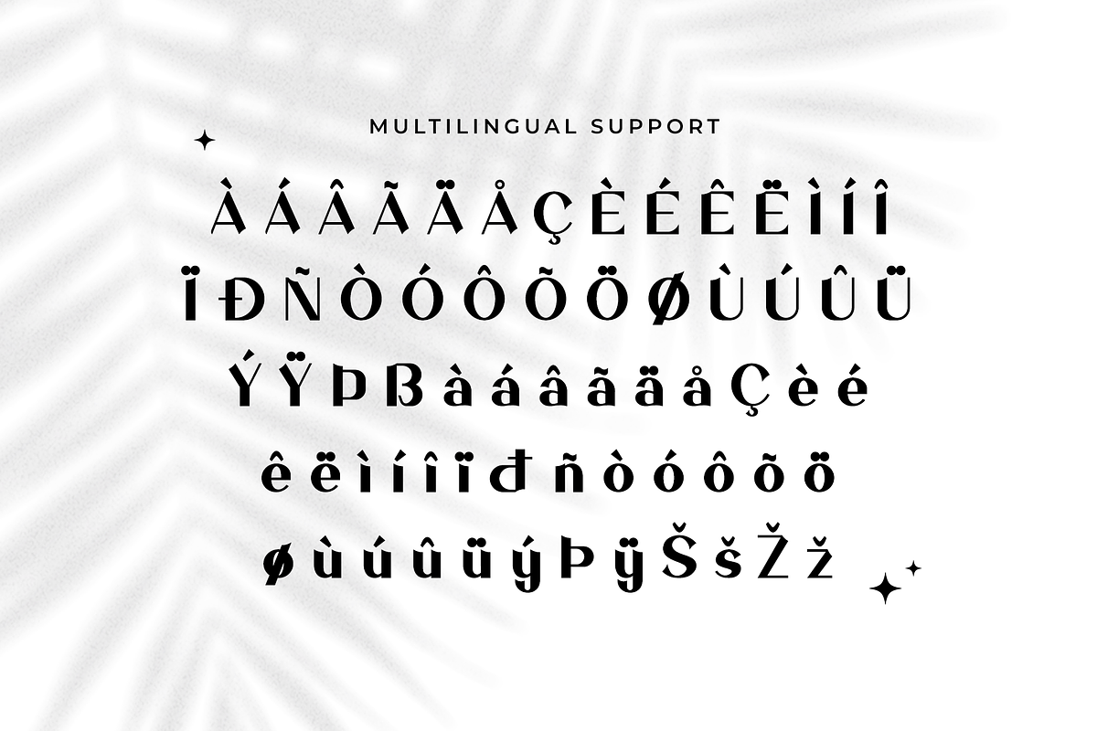 Salvador - Modern Serif Typeface, a Serif Font by overlaytemplates (Photo 5 of 5)