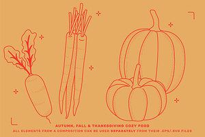 Thanksgiving Vector Illustrations