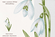 Snowdrops Hand Drawn Clipart, a Seasonal Illustration by BarvArt (Thumbnail 5 of 5)