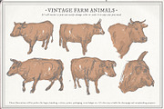 Farm Animals Set, an Object Graphic by Siosay (Thumbnail 11 of 12)