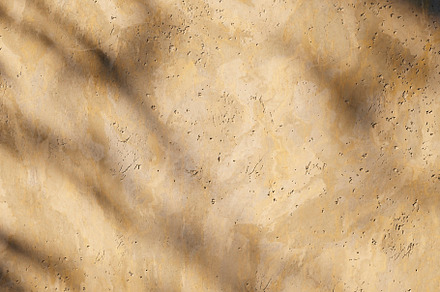 Natural stone wall texture with plant shadow flat lay. Top view