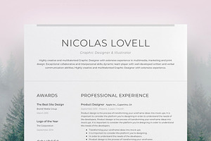 Professional Resume 2