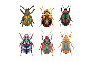 Colorful beatels cartoon vector set, an Animal Illustration by Onyx