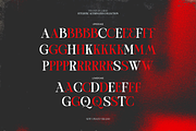 TBJ One Of A Kind Serif Font Family, a Serif Font by Taboja Studio (Thumbnail 19 of 21)