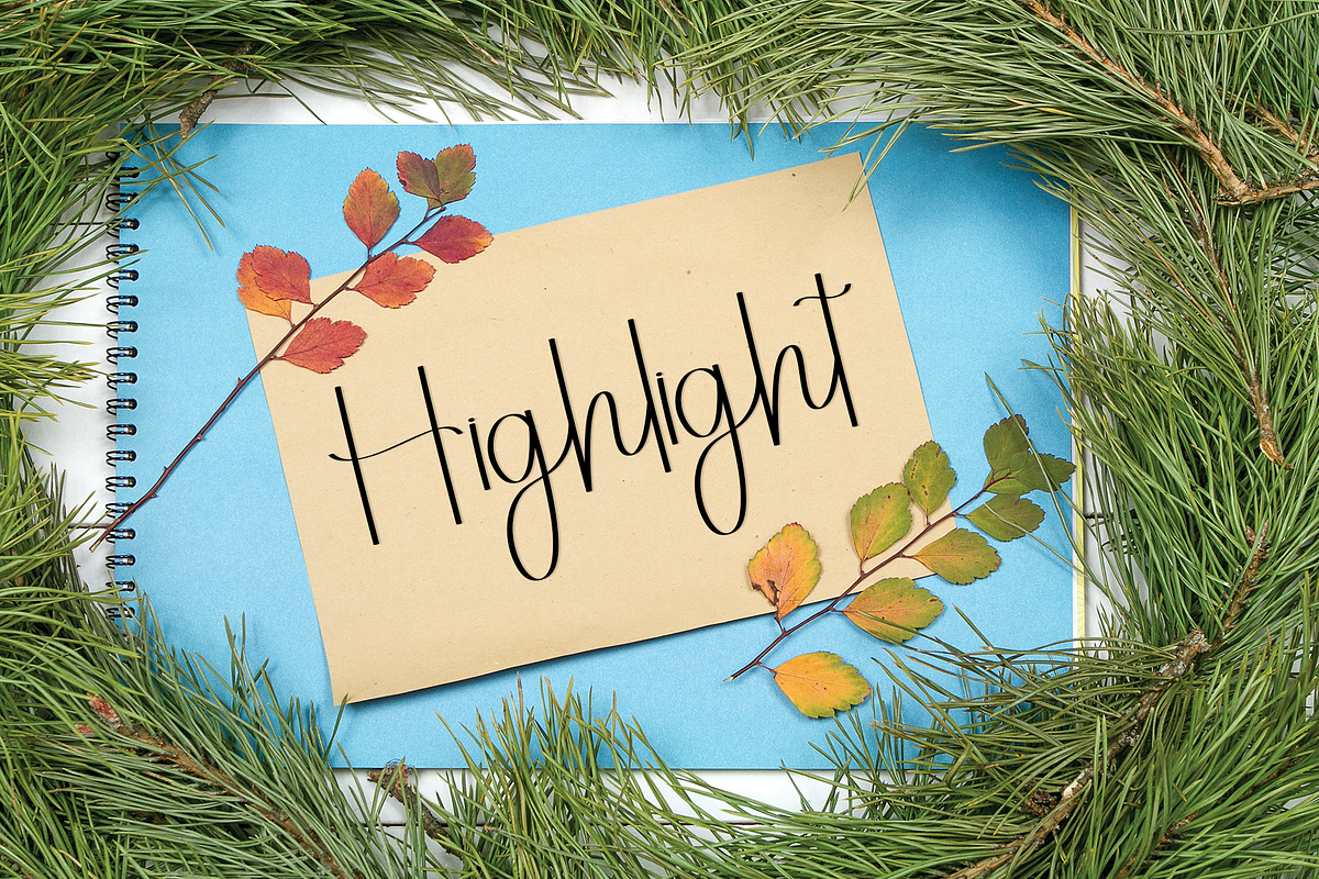 Hello Darling, a Handwritten Font by FreshTypeINK (Photo 8 of 8)