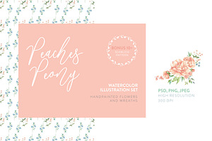 Peaches Peony