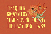 Gruesome - Display Serif Font, a Serif Font by Letterhend Studio (Thumbnail 6 of 11)