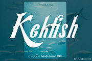Kekfish - Modern Handdrawn Display, a Symbol Font by Saxofont (Thumbnail 1 of 9)