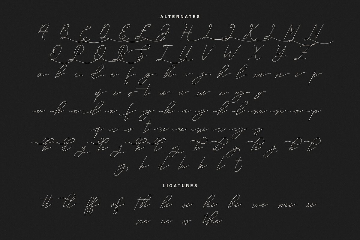 Embarghost - Classic Script Font, a Script Font by PuriCreative (Photo 9 of 11)