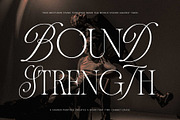 Andiena Bielsa - Hybrid Serif, a Serif Font by Arterfak Project (Thumbnail 2 of 12)