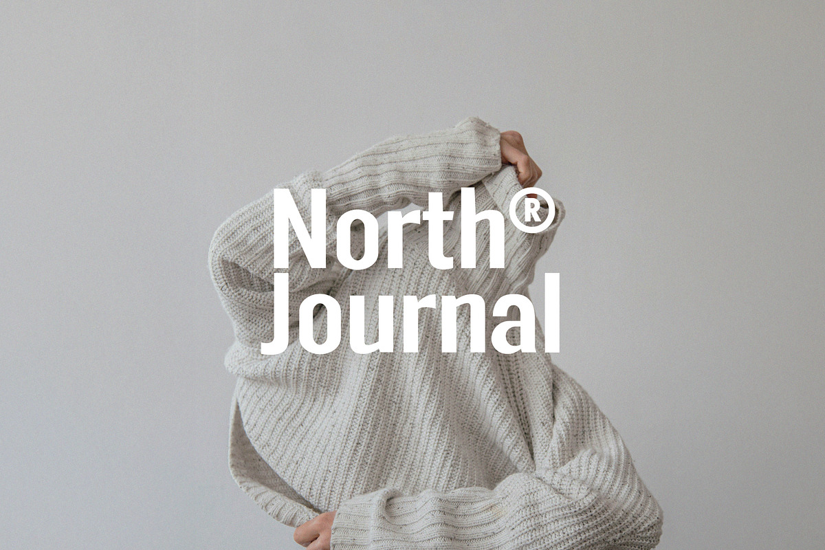 FT Neue Buddy - 5 Styles Sans Serif, a Sans Serif Font by fuzztype (Photo 14 of 15)