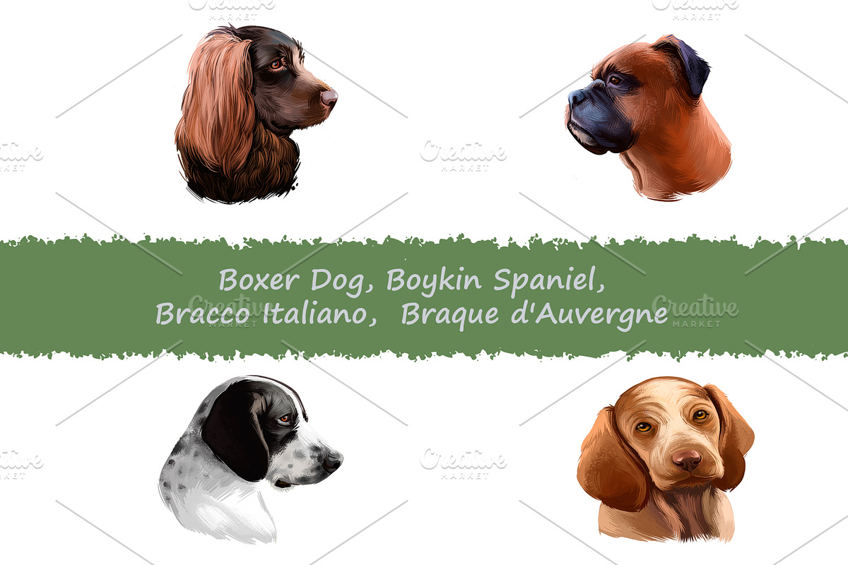 Dogs Pet Portraits Art Print Set 23, an Animal Illustration by Dneprstock (Photo 1 of 5)