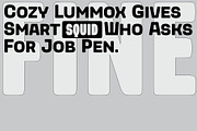 Chortler Display Font Family, a Sans Serif Font by FansyType (Thumbnail 9 of 9)