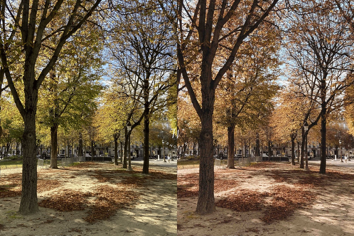 15 Aesthetic Fall Lightroom Presets, a Preset Add-On by TheWayfarerShoppe (Photo 5 of 8)